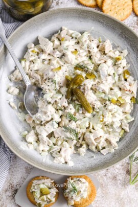 a spoon in a bowl of dill pickle chicken salad next to crackers and a jar of pickles