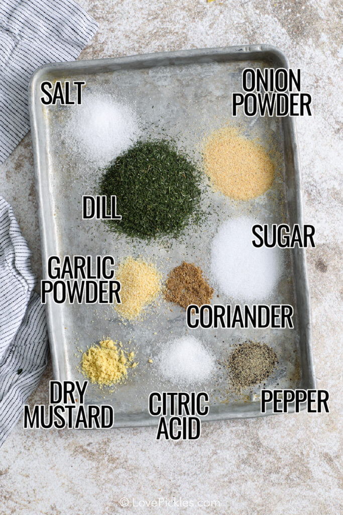ingredients for making dill pickle seasoning on a small baking tray