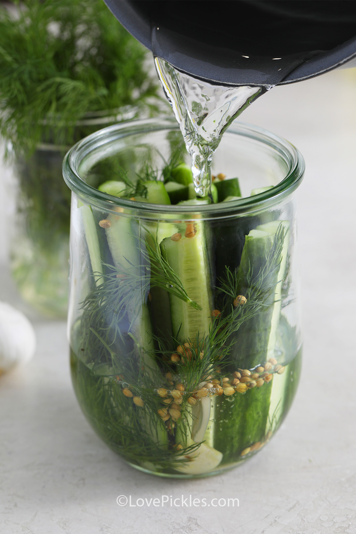 pouring brine over spices and sliced cucumber spears in a jar to make refrigerato dill pickles.