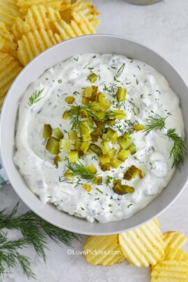 a bowl of dill pickle dip garnished with dill pickles and fresh dill