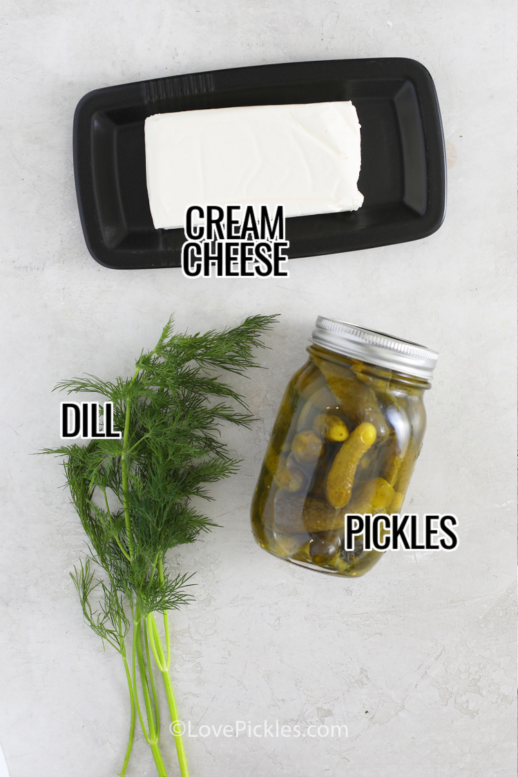 Ingredients to make dill pickle dip, including cream cheese, fresh dill, and pickles.