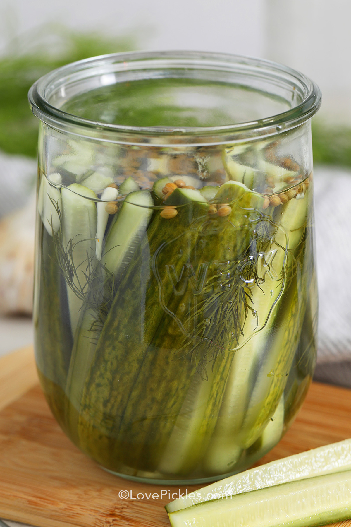 cropped refrigerator dill pickles