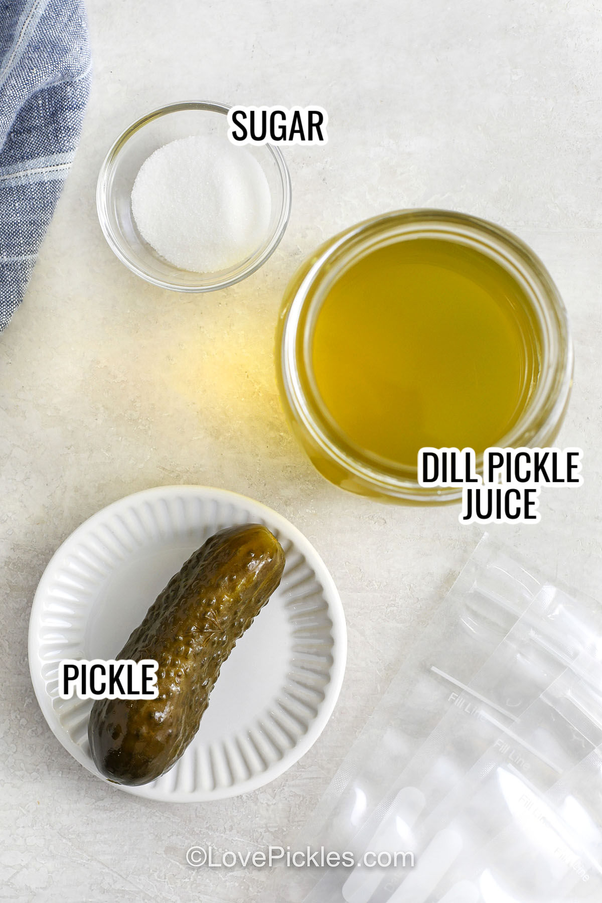 Ingredients to make a pickle popsicle labeled: sugar, pickle juice, and pickles